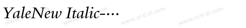 YaleNew Italic字体转换